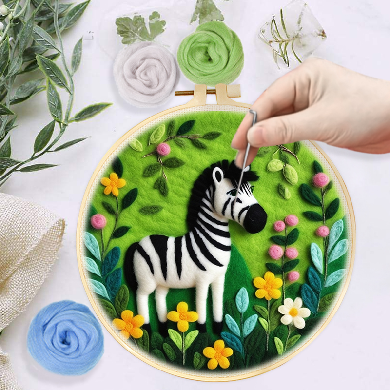 CHENISTORY DIY 양모 바늘 펠트 페인팅, 여 - Embroidery Kit Starter 리뷰 및 가격